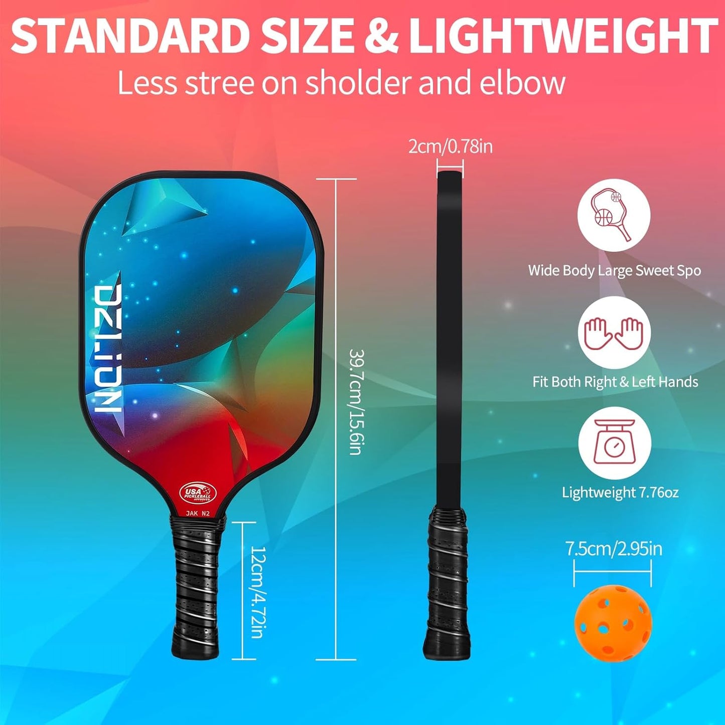 Dzlion Pickleball Set
